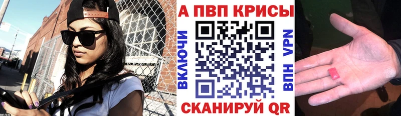 Альфа ПВП СК Павловск