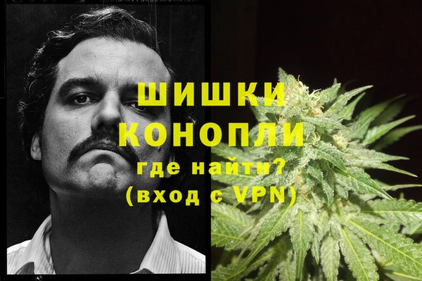 индика Арсеньев