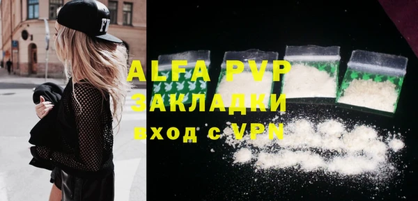 индика Арсеньев