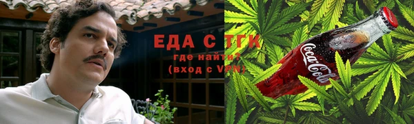 индика Арсеньев